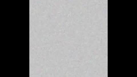 .     y e l l o w s n a k e s       . online show from 11-16-25, 06:41