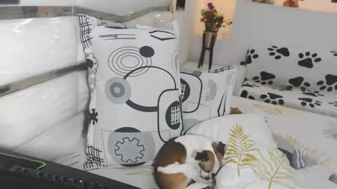 YINAROSS online show from 03-27-26, 09:03