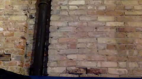 Snapshot of yogagirl777 chatting on 01-26-25, 07:32 Ann Marie online show from 01-26-25, 07:32