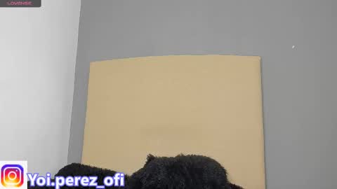 Yoi Olimpo online show from 02-12-25, 12:22