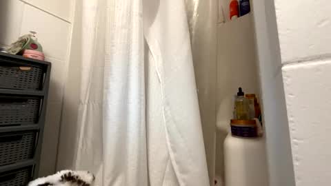 Snapshot of yourfavouritemermaid chatting on 11-21-25, 07:45 Eastcoast mermaid online show from 11-21-25, 07:45