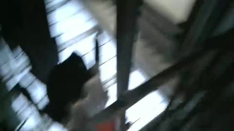 Snapshot of yourpersonalgeniusl chatting on 12-15-24, 10:47 yourpersonalgeniusl online show from 12-15-24, 10:47