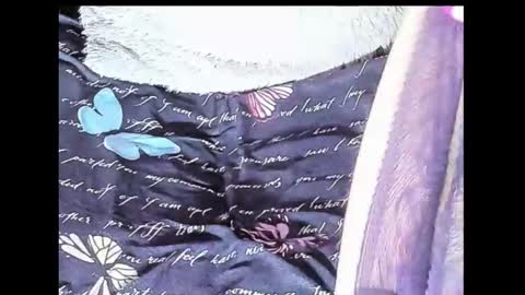 Yukio Davis  online show from 10-10-25, 01:48