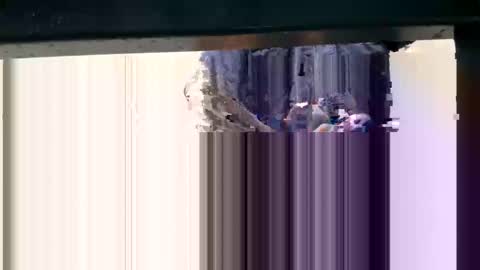 hungggg online show from 10-08-25, 11:57