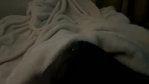 yunghunghornymale online show from 11-29-25, 08:39