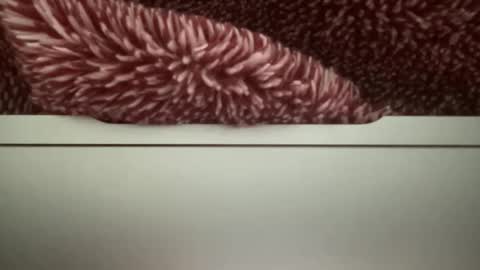 Snapshot of z95141 chatting on 10-22-25, 03:56 z95141 online show from 10-22-25, 03:56