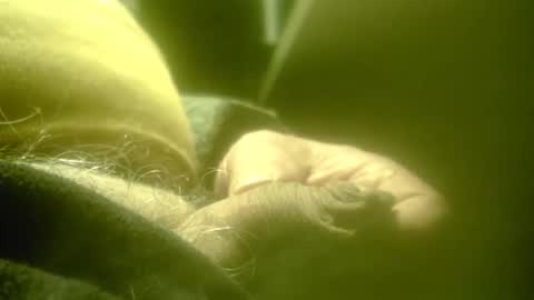 zaboski4 online show from 02-26-26, 08:24