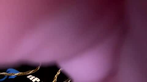 Snapshot of zapxxx69 chatting on 03-16-26, 06:28 zapxxx69 online show from 03-16-26, 06:28