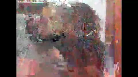 Snapshot of zatiro992 chatting on 02-14-26, 07:49 Zatth online show from 02-14-26, 07:49