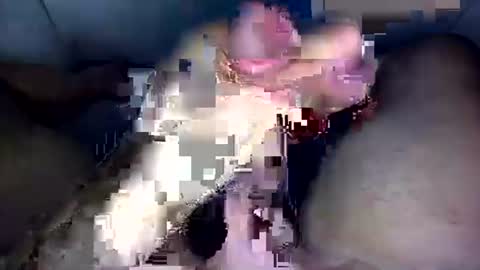Snapshot of zezin1 chatting on 09-19-25, 03:30 zezin1 online show from 09-19-25, 03:30
