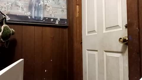 zfdcuvxqqtzh online show from 11-10-25, 03:27