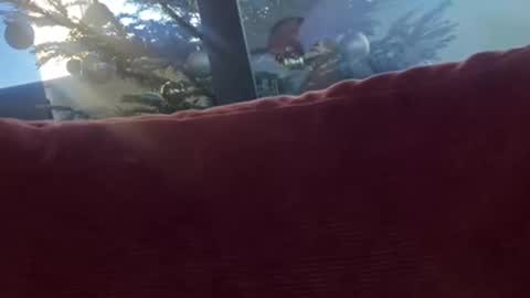 Snapshot of zoomdue chatting on 12-08-24, 01:36 Velesk online show from 12-08-24, 01:36