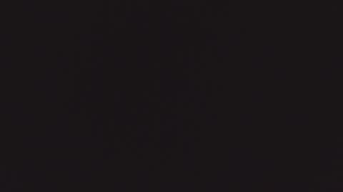 ZURY   online show from 10-22-25, 11:32