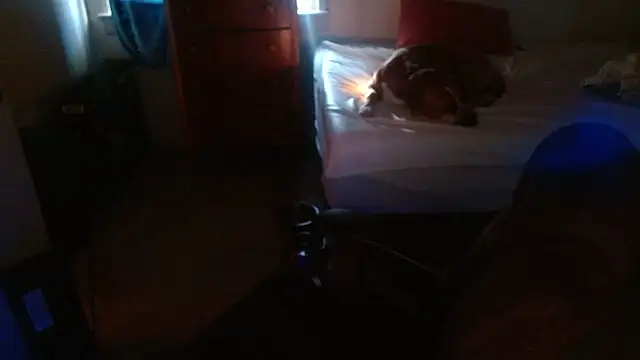 Snapshot of DADDY_KANE8--- chatting on 01-17-26, 09:29 DADDY KANE8--- online show from 01-17-26, 09:29