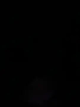 Snapshot of daonline69247 chatting on 02-04-25, 03:44 daonline69247 online show from 02-04-25, 03:44