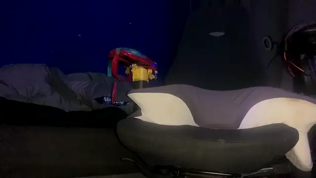 Snapshot of ZandersaSimp chatting on 12-17-25, 05:08 ZandersaSimp online show from 12-17-25, 05:08