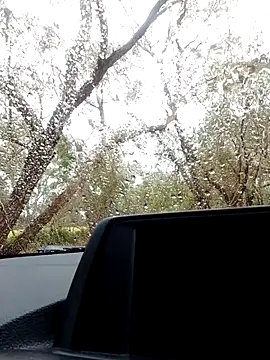 stiffandlubedxh online show from 10-21-25, 09:04