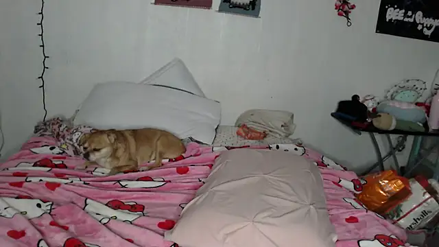 Snapshot of Cupcakecutie449 chatting on 02-28-26, 04:19 Cupcakecutie449 online show from 02-28-26, 04:19