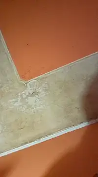 ducicsajsziii online show from 03-19-25, 03:08