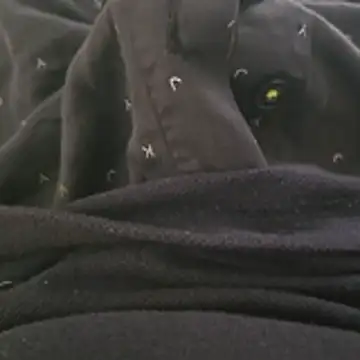 Snapshot of surfer_fun29 chatting on 12-02-25, 05:35 surfer fun29 online show from 12-02-25, 05:35