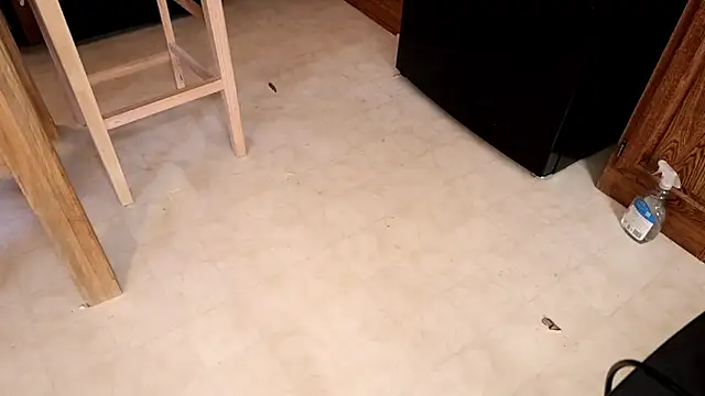 Snapshot of xxpixeyxx chatting on 02-12-26, 05:52 xxpixeyxx online show from 02-12-26, 05:52