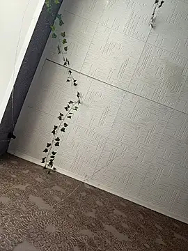 Snapshot of AmmyHot chatting on 02-23-26, 05:05 AmmyHot online show from 02-23-26, 05:05