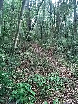 Snapshot of OFICINA_Simas-Turbo chatting on 09-20-25, 07:37 OFICINA Simas-Turbo online show from 09-20-25, 07:37