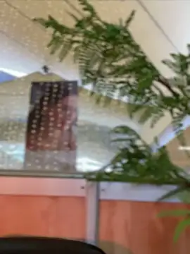 Emilia Bakerr online show from 12-15-24, 09:31