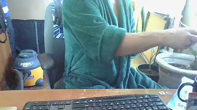 Daremeknot online show from 02-01-25, 03:18