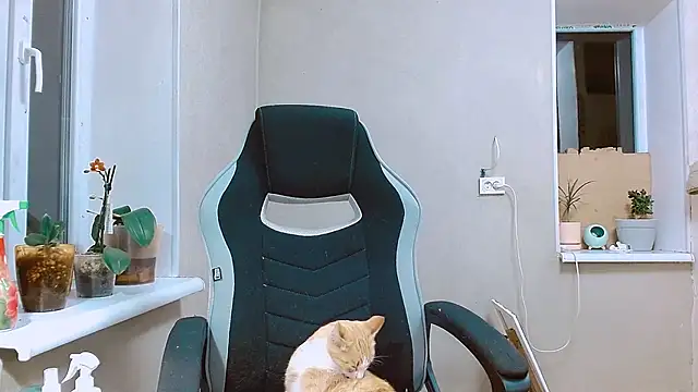 Snapshot of RosaJil chatting on 09-13-25, 05:35 RosaJil online show from 09-13-25, 05:35