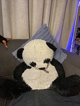 Snapshot of YellowHoneyDip chatting on 02-19-26, 05:25 YellowHoneyDip online show from 02-19-26, 05:25