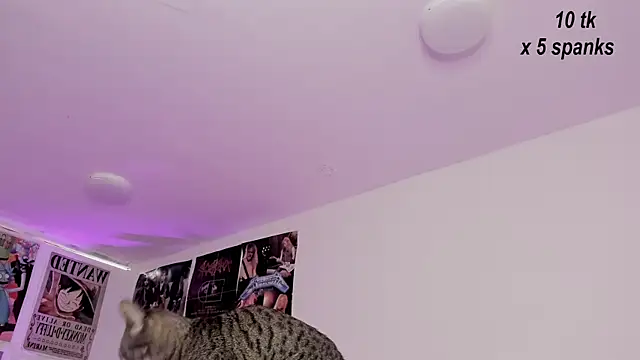 Sachi Meow online show from 10-26-25, 12:00