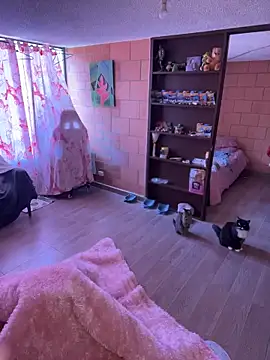 Snapshot of Sachi_Meow chatting on 02-25-26, 06:06 Sachi Meow online show from 02-25-26, 06:06