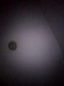 Treemandude online show from 01-15-26, 11:04