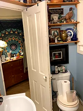 sexyasscougar online show from 10-06-25, 07:39