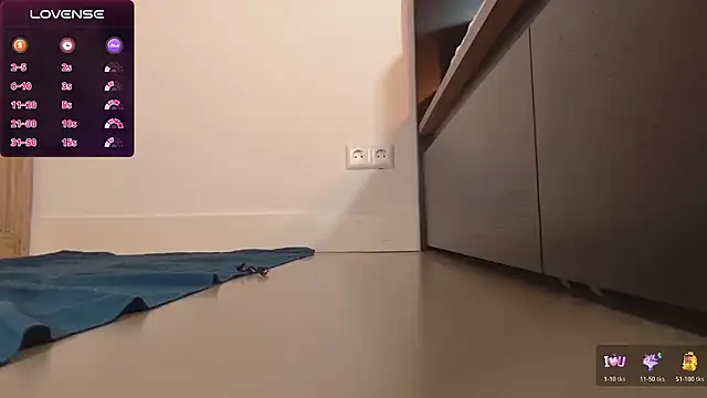 Snapshot of sorairosky chatting on 11-12-25, 12:38 sorairosky online show from 11-12-25, 12:38