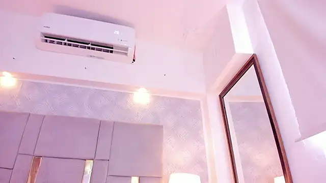 Camilaa Sanchez  online show from 12-29-24, 05:54