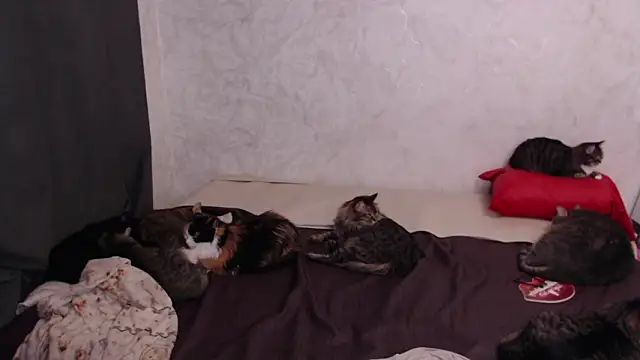 Olivia Winston online show from 02-04-26, 03:18