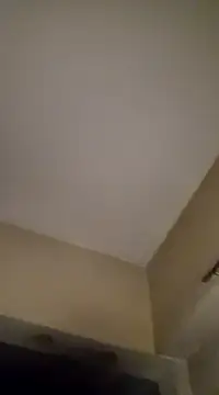 gala2 online show from 01-19-25, 06:31