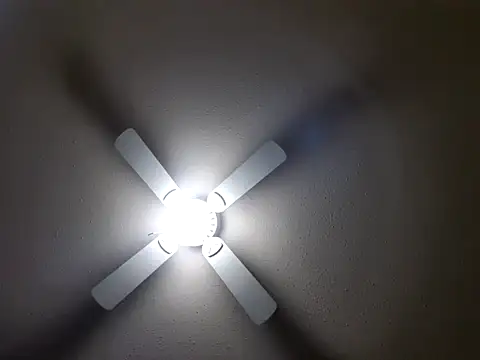 EXOTICLEXXXI online show from 01-26-25, 07:31