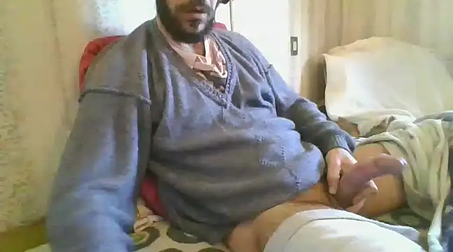 tozebrito hd online show from 12-27-24, 10:12