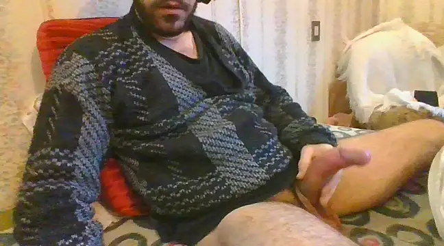 tozebrito hd online show from 02-08-25, 05:29