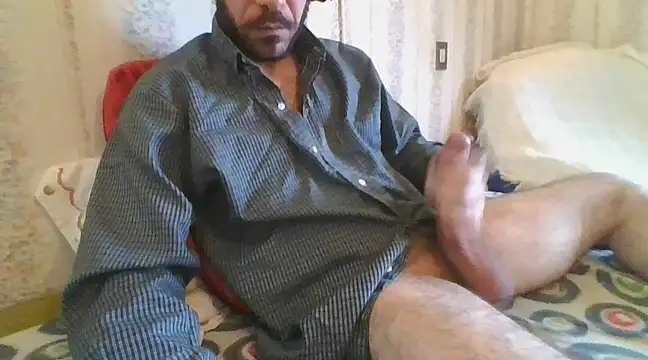 tozebrito hd online show from 02-09-25, 09:37