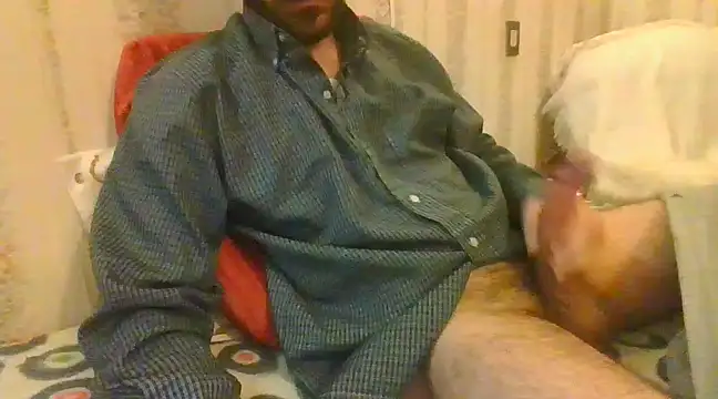 tozebrito hd online show from 02-16-25, 01:27