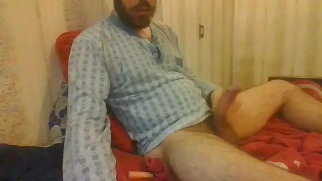 tozebrito hd online show from 10-30-25, 04:36