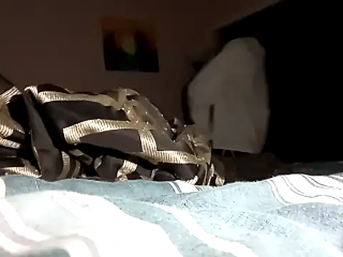 Snapshot of Blkstylion chatting on 11-01-25, 01:07 Blkstylion online show from 11-01-25, 01:07