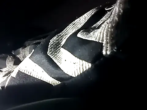 Snapshot of Blkstylion chatting on 12-04-25, 04:05 Blkstylion online show from 12-04-25, 04:05