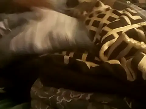 Snapshot of Blkstylion chatting on 12-14-25, 02:50 Blkstylion online show from 12-14-25, 02:50