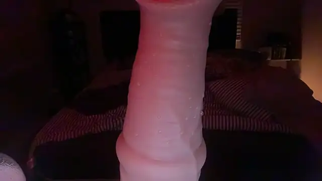 Blazedsurfer30 online show from 02-04-25, 08:46