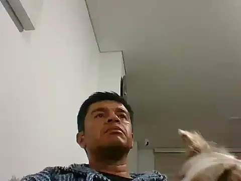 Snapshot of perxxxeo_ chatting on 10-11-25, 01:38 perxxxeo  online show from 10-11-25, 01:38